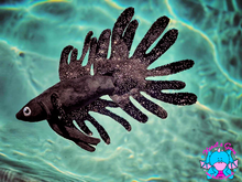 Lade das Bild in den Galerie-Viewer, Betta splendens - Crowntail