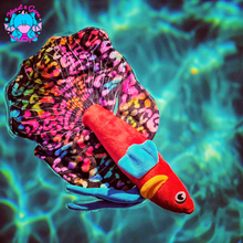 Lade das Bild in den Galerie-Viewer, Betta splendens - Halfmoon