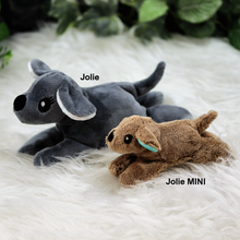 Lade das Bild in den Galerie-Viewer, Hund Jolie MINI