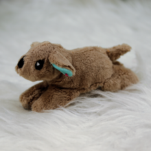 Lade das Bild in den Galerie-Viewer, Hund Jolie MINI