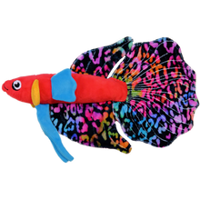 Lade das Bild in den Galerie-Viewer, Betta splendens - Halfmoon