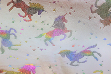 Lade das Bild in den Galerie-Viewer, Minky Rainbow UNICORNS