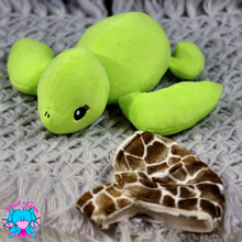 Lade das Bild in den Galerie-Viewer, Schildkröte Frieda
