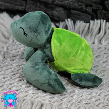 Lade das Bild in den Galerie-Viewer, Schildkröte Frieda
