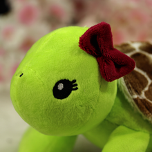 Lade das Bild in den Galerie-Viewer, Schildkröte Frieda
