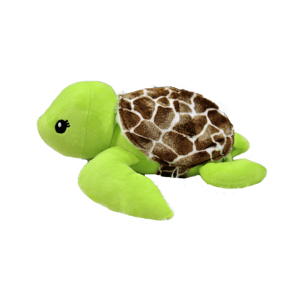 Schildkröte Frieda MIDDLE